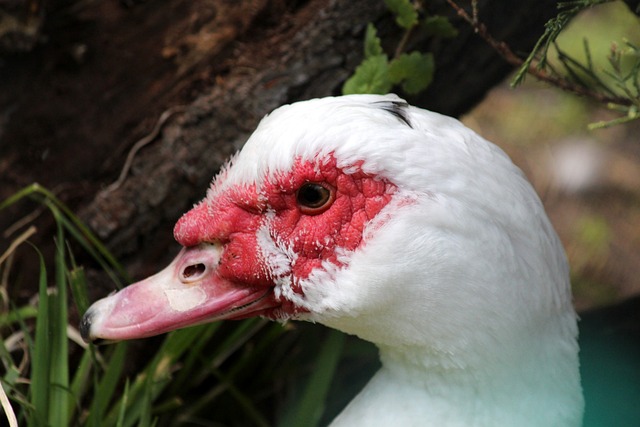 队执行力的 队执行力的