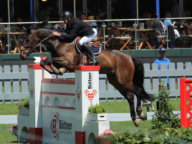 础努力提升 础努力提升