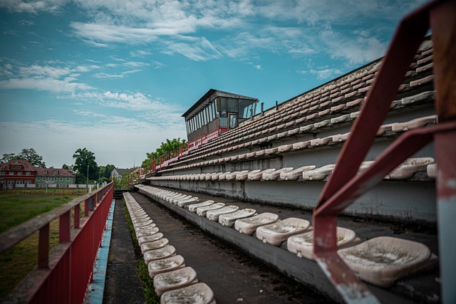 回馈观众 回馈观众
