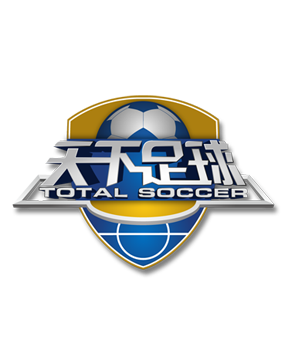 齊達內最終 齊達內最終