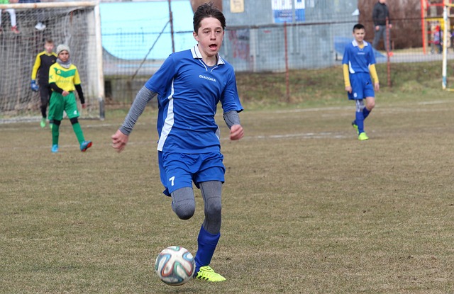 森林俱乐部 森林俱乐部