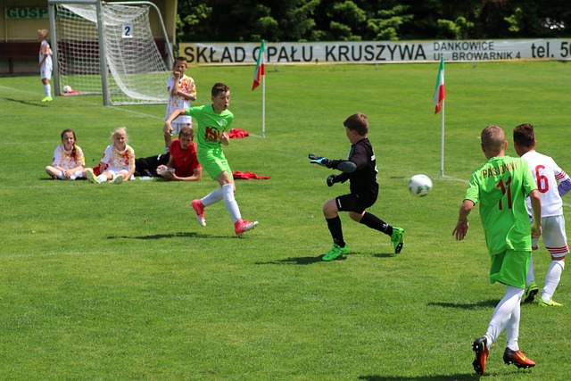 球队和球员 球队和球员