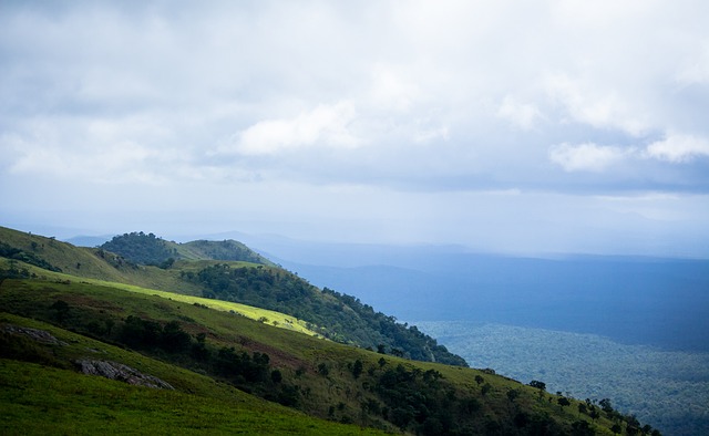 采取了极高 采取了极高