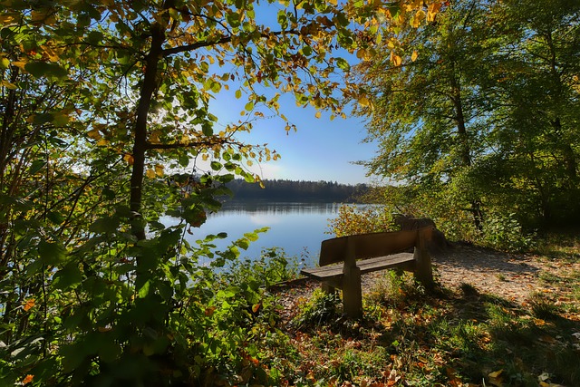 法国足球的 法国足球的