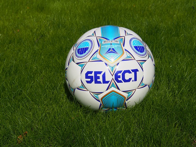 晋级女单八 晋级女单八