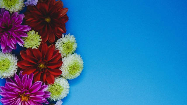 出色发挥 出色发挥