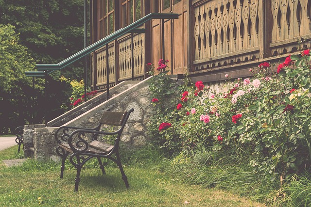 力与战术策 力与战术策